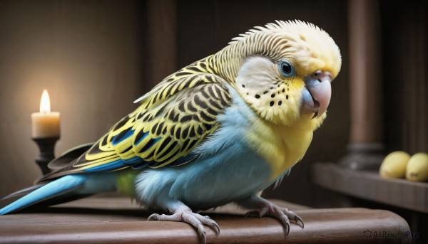 HQ,blue eyes,closed mouth,full body,food,indoors,blurry,no humans,fruit,depth of field,blurry background,bird,animal,feathers,claws,realistic,candle,animal focus,chick,duck,talons,beak,solo,standing,wings,black eyes,table,fire,flame,candlestand