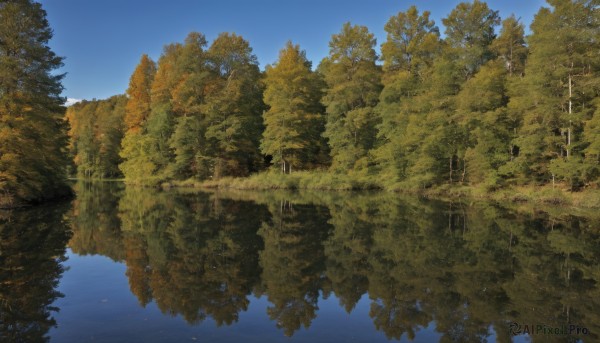 outdoors,sky,day,cloud,water,tree,blue sky,no humans,grass,nature,scenery,forest,reflection,river,landscape,lake,fantasy,floating island