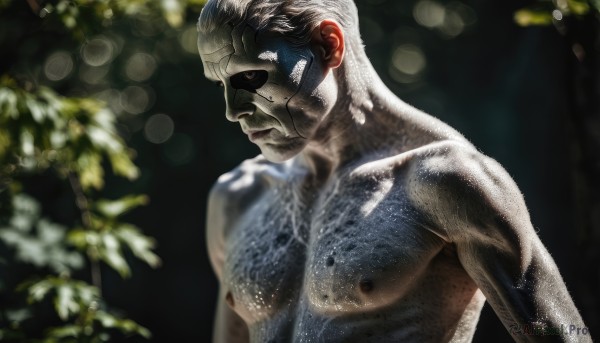 A male in a breathtaking outdoors