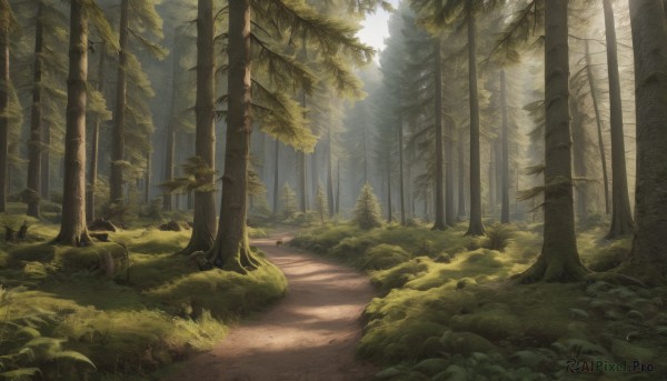 A unique view of a landscape in day