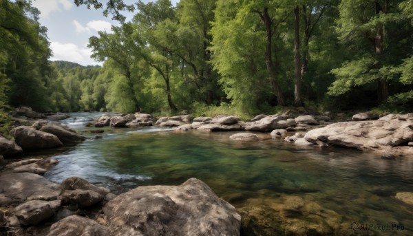 outdoors,sky,day,cloud,water,tree,blue sky,no humans,grass,nature,scenery,forest,reflection,rock,river,landscape,stream