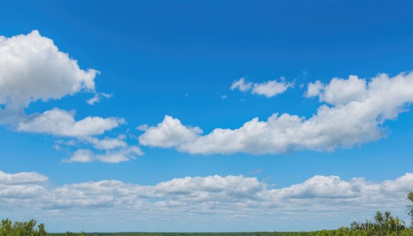 outdoors,sky,day,cloud,tree,blue sky,no humans,cloudy sky,grass,plant,nature,scenery,fence,summer,forest