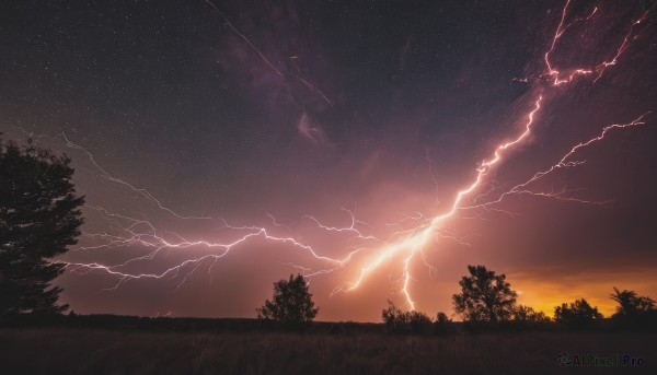 outdoors,sky,cloud,tree,no humans,night,grass,star (sky),nature,night sky,scenery,forest,starry sky,sunset,electricity,lightning,dark