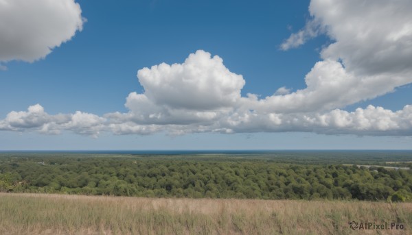 Image of a landscape in a vibrant day