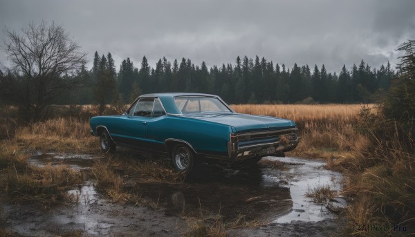 outdoors,sky,cloud,tree,no humans,cloudy sky,grass,ground vehicle,nature,scenery,motor vehicle,forest,reflection,rain,car,road,vehicle focus,bare tree,puddle,grey sky,sports car,overcast,day,water,realistic