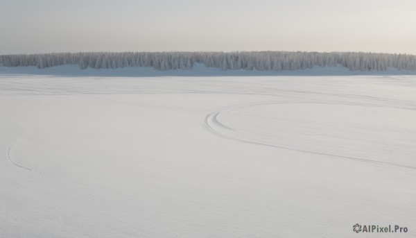 A majestic unique subject within a vivid snowy outdoors
