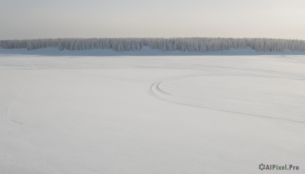 outdoors,sky,water,tree,no humans,nature,scenery,snow,forest,reflection,winter,bare tree,lake,military,ocean,beach,smoke,aircraft,sand,military vehicle,airplane,vehicle focus,waves,world war ii