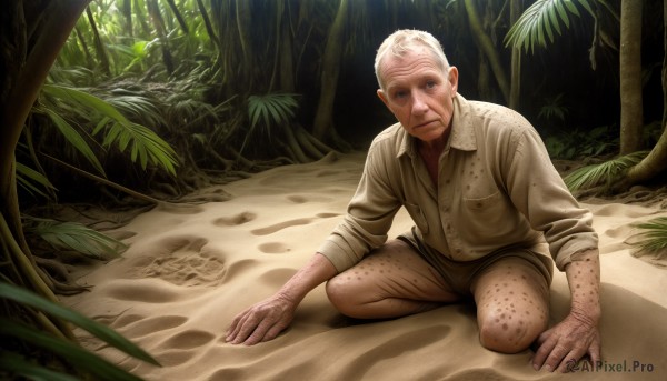 HQ,solo,looking at viewer,blue eyes,shirt,1boy,closed mouth,full body,white shirt,white hair,male focus,outdoors,shorts,day,tree,facial hair,beach,squatting,nature,sleeves rolled up,forest,realistic,sand,old,dirty,brown shorts,old man,dirty face,dirty clothes,wrinkled skin,dirty feet,blonde hair,dress shirt,scar