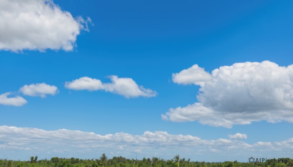 outdoors,sky,day,cloud,tree,blue sky,no humans,cloudy sky,grass,nature,scenery,forest