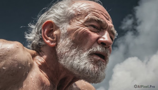 solo,open mouth,1boy,white hair,male focus,outdoors,sky,cloud,wet,facial hair,portrait,beard,realistic,nose,mustache,manly,old,old man,wrinkled skin,parted lips,from side,cloudy sky,close-up,veins