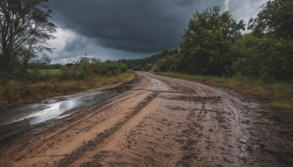 outdoors,sky,day,cloud,water,tree,no humans,cloudy sky,grass,nature,scenery,forest,road,river,landscape,puddle,path,realistic,lake,shore