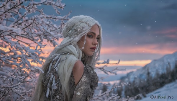 1girl,solo,long hair,looking at viewer,blue eyes,hair ornament,bare shoulders,jewelry,upper body,braid,white hair,outdoors,parted lips,sky,looking back,dark skin,armor,blurry,dark-skinned female,tree,lips,depth of field,blurry background,bird,scenery,snow,snowing,mountain,realistic,nose,branch,red lips,winter,from side,grey eyes,star (sky),starry sky