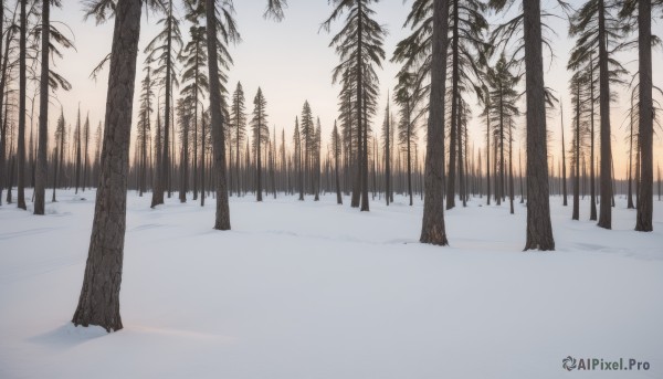 A vivid snowy day highlighting a landscape