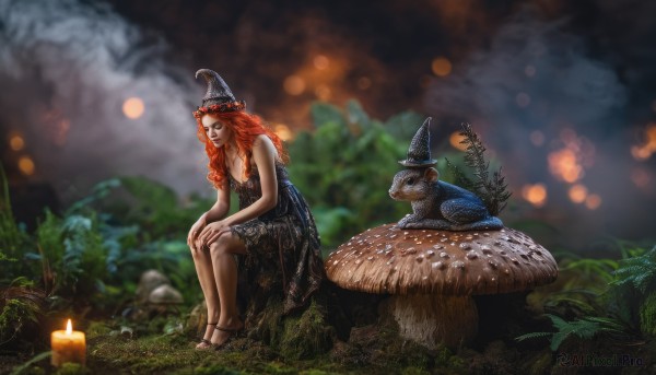 1girl,solo,long hair,breasts,smile,hat,dress,cleavage,bare shoulders,jewelry,medium breasts,sitting,red hair,outdoors,orange hair,blurry,black dress,tree,lips,witch hat,depth of field,blurry background,animal,sandals,grass,plant,nature,curly hair,realistic,fantasy,witch,candle,mushroom,hands on own knees,tree stump,braid,twin braids,forest,frog