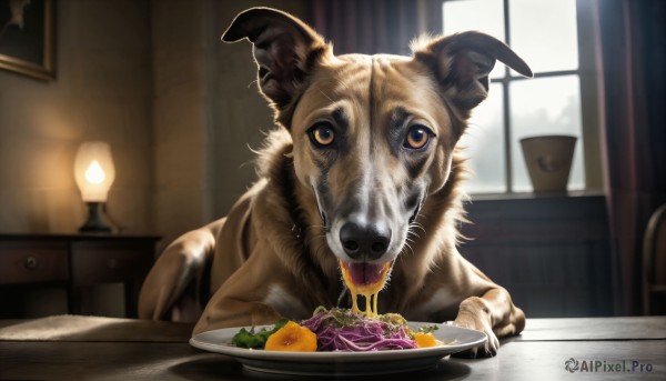 HQ,looking at viewer,food,indoors,blurry,no humans,window,depth of field,blurry background,animal,chair,eating,table,curtains,plate,bowl,dog,realistic,fork,lamp,animal focus,meat,food focus,painting (object),horror (theme),salad,solo,holding,brown eyes,sitting,tongue,tongue out,carrot