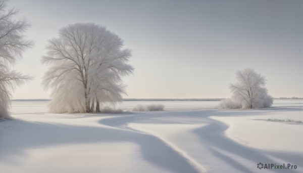 HQ,monochrome,outdoors,sky,day,cloud,tree,no humans,shadow,scenery,road,bare tree,greyscale,water,ocean,beach,snow,sand,horizon,winter,fog,shore