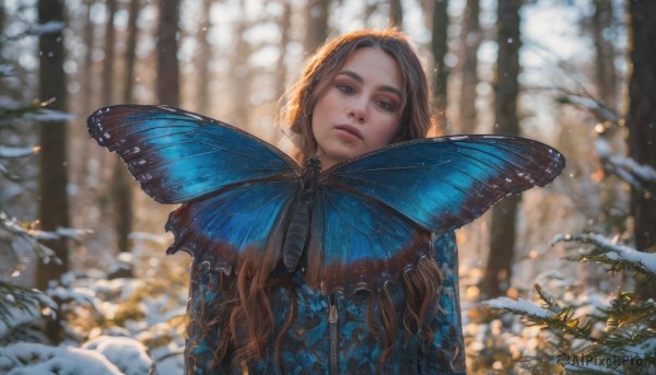 1girl, solo, long hair, looking at viewer, blue eyes, brown hair, upper body, outdoors, wings, blurry, tree, lips, depth of field, blurry background, nature, snow, forest, snowing, realistic, fairy, winter, butterfly wings