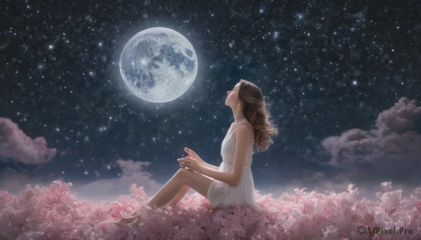 1girl, solo, long hair, brown hair, dress, sitting, closed eyes, flower, outdoors, sky, barefoot, choker, cloud, white dress, from side, night, moon, looking up, star (sky), night sky, full moon, starry sky