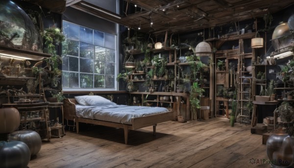 sky,cloud,indoors,tree,cup,pillow,book,no humans,window,bed,night,chair,table,bottle,plant,curtains,star (sky),night sky,scenery,couch,desk,wooden floor,clock,bookshelf,potted plant,lamp,stool,shelf,globe,telescope,flower,day,bed sheet,on bed,glass,ceiling,candlestand,cabinet,chandelier