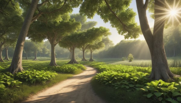 The allure of a landscape in a majestic day