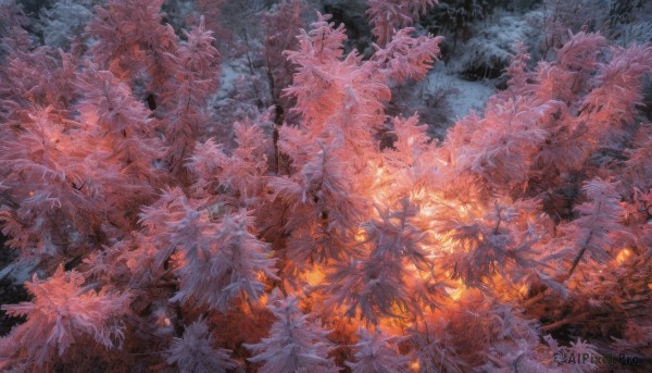 The beauty of a unique subject set in a enchanting outdoors