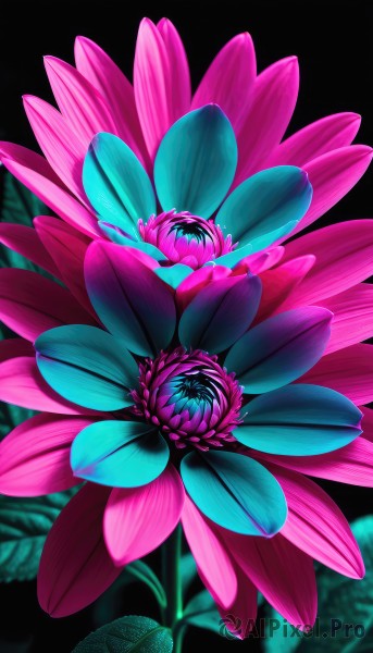 A stunning abstract captured in background