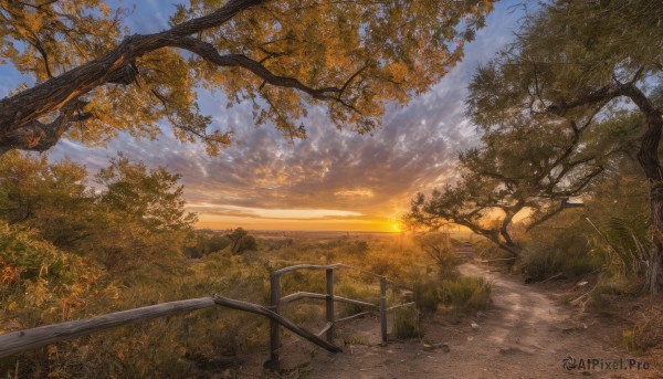 outdoors,sky,day,cloud,tree,blue sky,no humans,leaf,sunlight,cloudy sky,grass,nature,scenery,forest,sunset,fence,railing,sun,road,autumn leaves,autumn,landscape,path,signature,water,ocean,plant,horizon,river