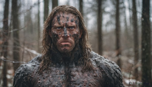 solo,long hair,looking at viewer,blue eyes,brown hair,1boy,upper body,male focus,outdoors,armor,blurry,tree,blurry background,facial hair,portrait,nature,beard,snow,forest,snowing,realistic,stubble,animification,closed mouth,scar,bare tree