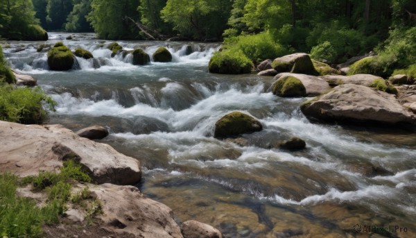 outdoors,day,water,tree,no humans,nature,scenery,forest,rock,river,waterfall,stream,bush,moss