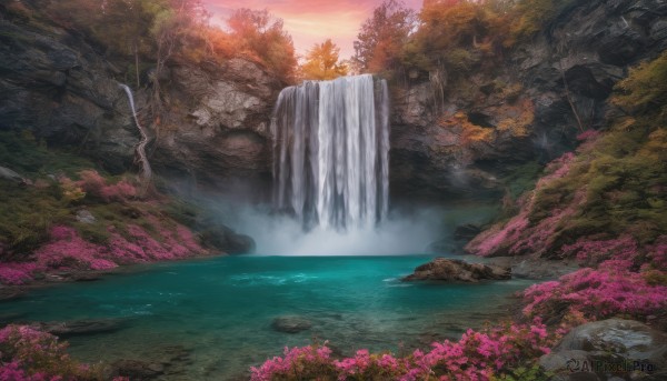 flower, outdoors, sky, cloud, water, tree, no humans, nature, scenery, forest, sunset, rock, river, waterfall, landscape