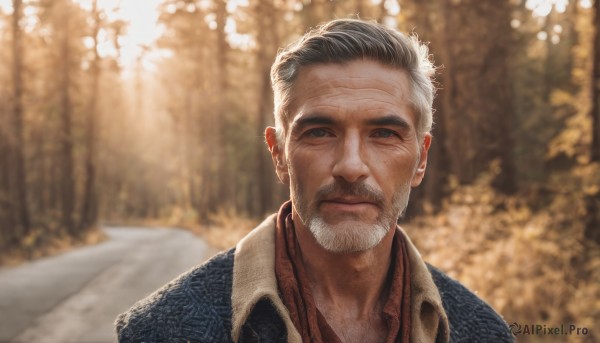 solo,looking at viewer,short hair,shirt,black hair,1boy,jewelry,closed mouth,jacket,upper body,white hair,grey hair,male focus,outdoors,collared shirt,blurry,black eyes,tree,blurry background,facial hair,piercing,blue jacket,portrait,nature,beard,forest,realistic,mustache,old,old man,wrinkled skin,blue eyes,day,lips,depth of field,scar,expressionless,sunlight,red shirt,scar on face,manly