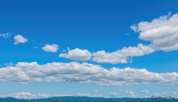 flower,outdoors,sky,day,cloud,water,tree,blue sky,no humans,ocean,cloudy sky,nature,scenery,blue theme,horizon,summer,landscape