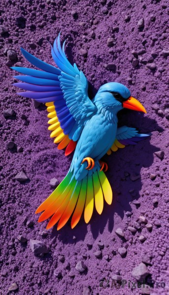 solo,closed mouth,full body,black eyes,pokemon (creature),no humans,bird,purple background,animal focus,talons,beak,closed eyes,wings,animal,watermark,from above,feathers,rock,colorful,blue feathers