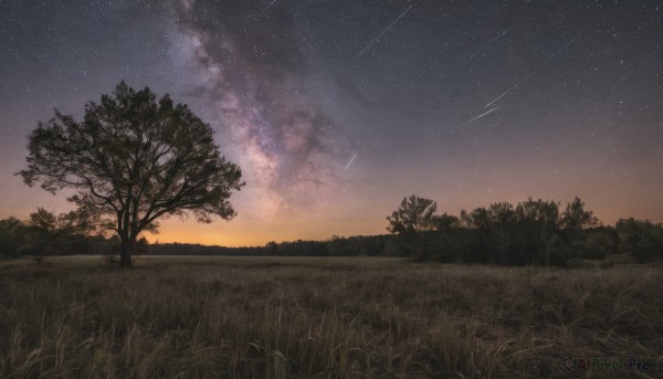 outdoors,sky,cloud,tree,no humans,night,grass,star (sky),nature,night sky,scenery,forest,starry sky,sunset,road,gradient sky,shooting star,field,milky way