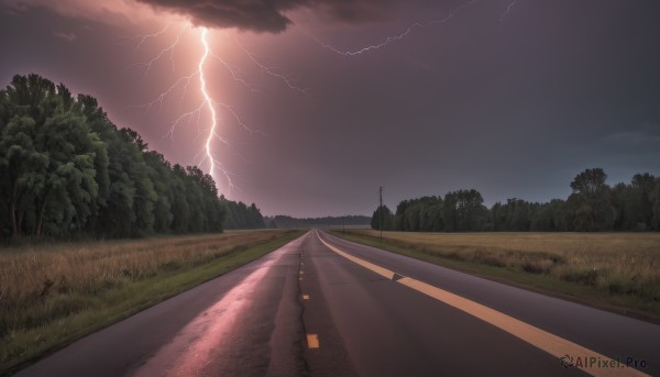 outdoors,sky,cloud,tree,no humans,cloudy sky,grass,nature,scenery,forest,fence,electricity,road,bush,power lines,lamppost,street,lightning,path,night,landscape