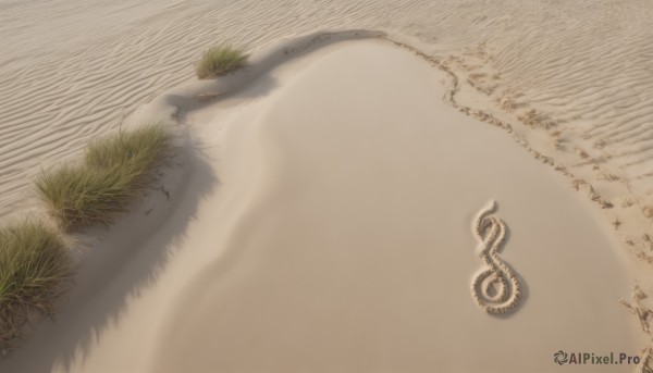 outdoors,day,water,tree,no humans,shadow,from above,beach,grass,scenery,sand,road,shore,desert,footprints,multiple boys,tattoo,muscular,plant,realistic