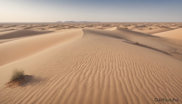 outdoors,sky,day,tree,blue sky,no humans,shadow,ocean,beach,scenery,sand,horizon,road,landscape,desert