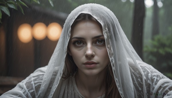 1girl,solo,long hair,looking at viewer,brown hair,brown eyes,closed mouth,upper body,outdoors,artist name,hood,blurry,tree,lips,wet,depth of field,blurry background,portrait,veil,freckles,rain,realistic,nose,parted lips,close-up