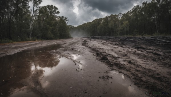 outdoors,sky,day,cloud,water,tree,no humans,cloudy sky,nature,scenery,forest,reflection,rain,road,river,landscape,puddle,grass