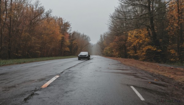 outdoors,sky,day,cloud,tree,no humans,ground vehicle,nature,scenery,motor vehicle,forest,car,road,street,grey sky,grass,snow,realistic,autumn leaves,bare tree,autumn