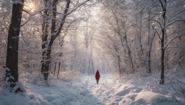 1girl, solo, standing, outdoors, from behind, cape, tree, nature, scenery, cloak, snow, forest, wide shot, winter, bare tree, red cloak