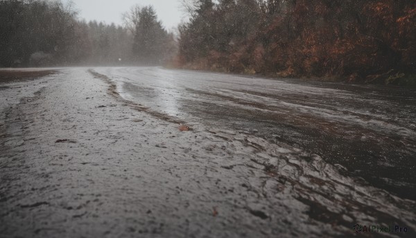 outdoors,sky,day,tree,no humans,nature,scenery,snow,forest,road,cloud,water,cloudy sky,landscape