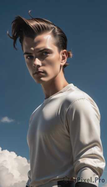 solo,looking at viewer,short hair,blue eyes,brown hair,shirt,long sleeves,1boy,closed mouth,white shirt,upper body,male focus,outdoors,sky,day,belt,pants,cloud,blue sky,lips,realistic,nose,black hair,t-shirt,mohawk