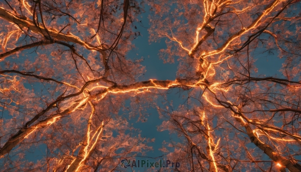 outdoors,sky,day,cloud,tree,blue sky,no humans,sunlight,cloudy sky,nature,scenery,fantasy,branch,electricity,bare tree,orange theme,dutch angle,night,leaf,plant,night sky,autumn leaves,autumn