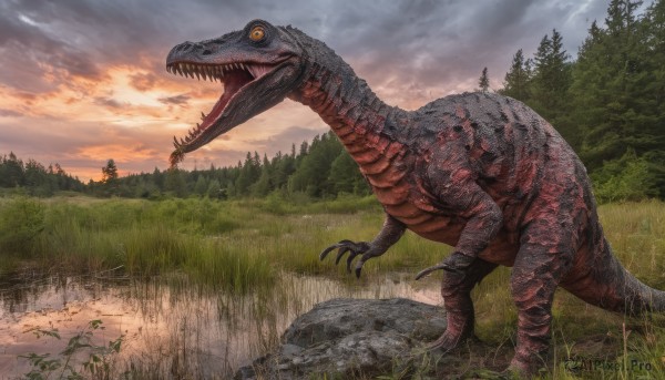 open mouth,tail,yellow eyes,outdoors,sky,teeth,cloud,tree,no humans,cloudy sky,grass,sharp teeth,nature,scenery,claws,forest,monster,rock,dragon,scales,dinosaur,water,river