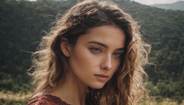 1girl,solo,long hair,looking at viewer,blonde hair,brown hair,hair ornament,jewelry,closed mouth,earrings,outdoors,day,blurry,lips,grey eyes,eyelashes,depth of field,blurry background,wavy hair,messy hair,portrait,nature,freckles,curly hair,realistic,nose,stud earrings,blue eyes,sunlight