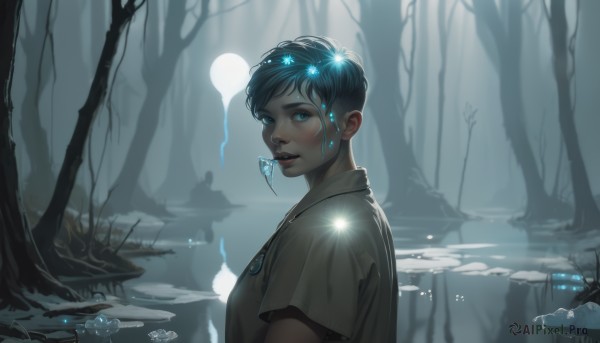 1girl,solo,looking at viewer,short hair,blue eyes,shirt,black hair,1boy,jewelry,blue hair,white shirt,upper body,short sleeves,male focus,earrings,outdoors,parted lips,artist name,signature,water,necklace,from side,tree,lips,eyelashes,glowing,watermark,gem,nature,web address,pendant,forest,reflection,realistic,nose,silhouette,lake,fog,hair ornament,looking to the side,blue theme,bare tree,boat,moonlight