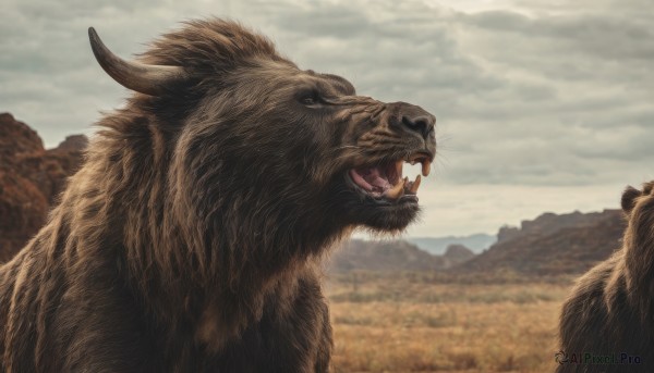 open mouth,outdoors,horns,sky,teeth,day,tongue,cloud,blurry,from side,no humans,animal,fangs,cloudy sky,sharp teeth,mountain,realistic,animal focus,whiskers,tusks,lion,profile,scenery,chinese zodiac,boar