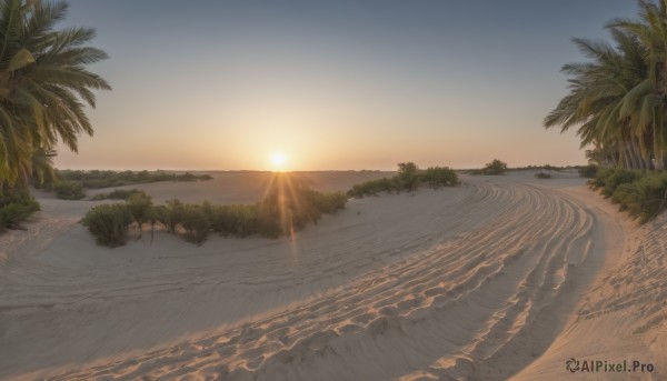 outdoors,sky,day,cloud,water,tree,no humans,ocean,beach,sunlight,nature,scenery,sunset,mountain,sand,palm tree,sun,horizon,shore,sunrise,desert