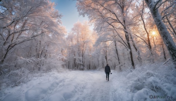 1girl, solo, standing, outdoors, sky, day, bag, tree, blue sky, dutch angle, nature, scenery, snow, forest, winter, bare tree, footprints